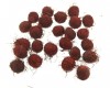 Açaí crespim (peludo) vinho (sem furo) - 100 sementes
